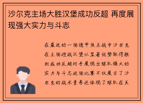 沙尔克主场大胜汉堡成功反超 再度展现强大实力与斗志