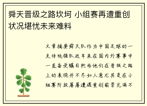 舜天晋级之路坎坷 小组赛再遭重创 状况堪忧未来难料